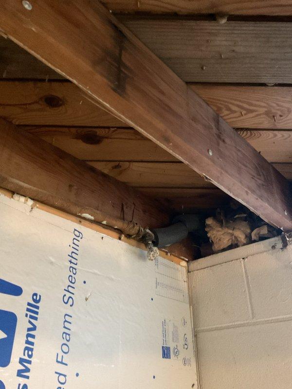 Conducted site inspection for PEX repipe estimate, documenting existing plumbing infrastructure in unfinished basement area with exposed wooden joists and concrete block walls. Evaluated Bradford White Defender Safety System water heater installation, noting current connection points, supply lines, and ventilation system to determine integration requirements for proposed repiping project.