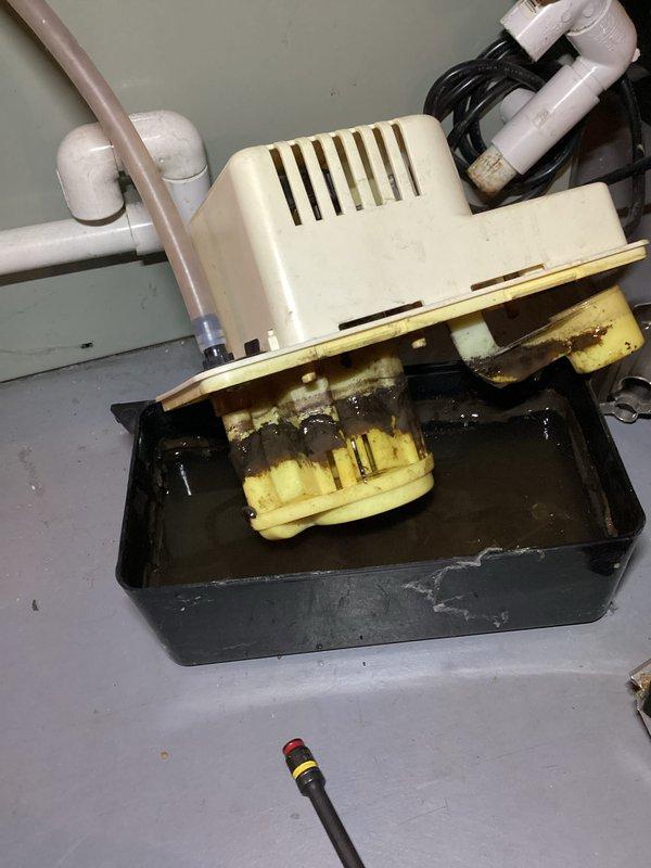 Performed annual tune-up on 11-year-old Trane XV95 furnace. Noted significant mineral buildup and discoloration in the condensate pump system requiring cleaning. Inspected ventilation components and electrical connections; all functional with normal operational wear.