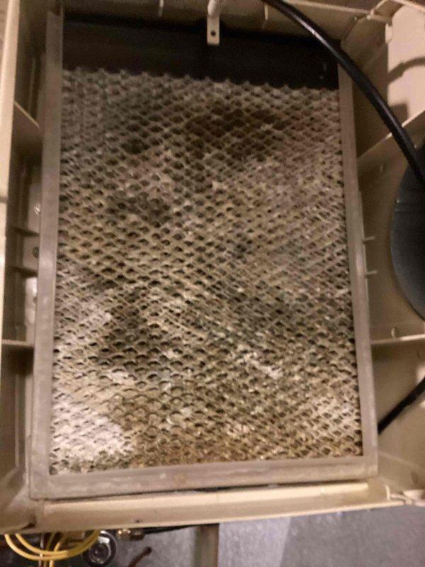 Responded to service call for water leakage from humidifier. Inspection revealed severely clogged air filter restricting proper airflow and water drainage issues at the humidifier drain port with visible staining indicating ongoing leakage. Replaced filter, cleaned drainage components, and verified proper system operation before completing service.