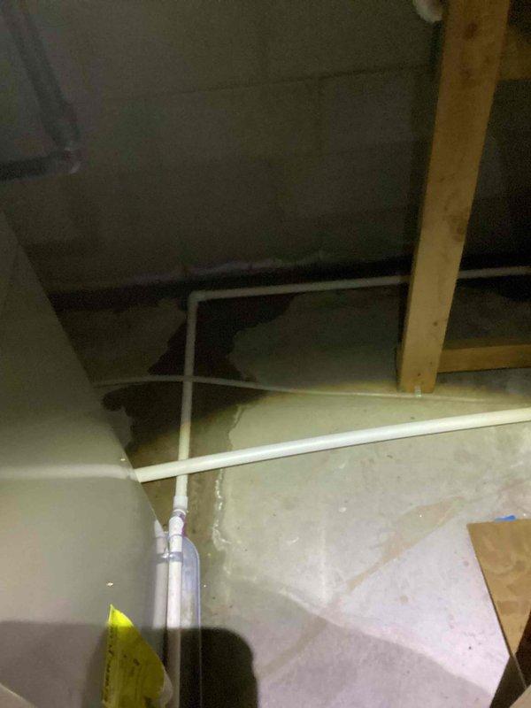 Performed annual heating tune-up on 9-year-old Bryant furnace. System is enrolled in maintenance club but has no humidifier. Inspected basement installation area and examined brass fittings for proper condition and function. System operational with no issues identified.