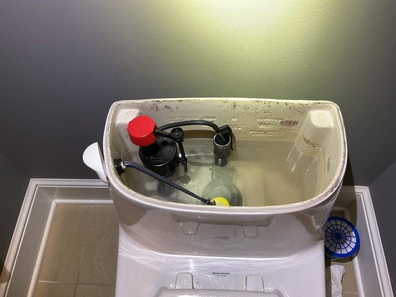 Inspected toilet mechanism and identified a worn flapper valve causing intermittent leaking; replaced flapper to restore proper tank function. Repaired kitchen faucet by replacing cartridge and O-rings, eliminating leak at base of handle while ensuring proper water flow and pressure.