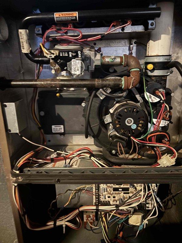 Performed annual tune-up on 13-year-old York furnace system. Inspected interior components including blower motor, circuit board, and wiring connections. System operating normally with no immediate concerns noted, though humidity control was not present on this club membership service.