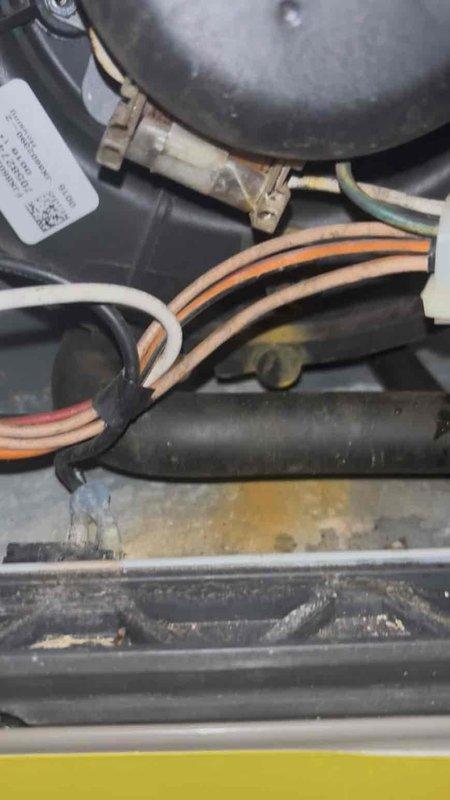 Performed annual heating maintenance service on furnace. Inspected internal components including motor, fan assembly, electrical connections, and heat exchanger. Noted normal wear with minor dust and corrosion accumulation but system is functioning properly. Customer on service club with 7-year warranty; no humidifier present.