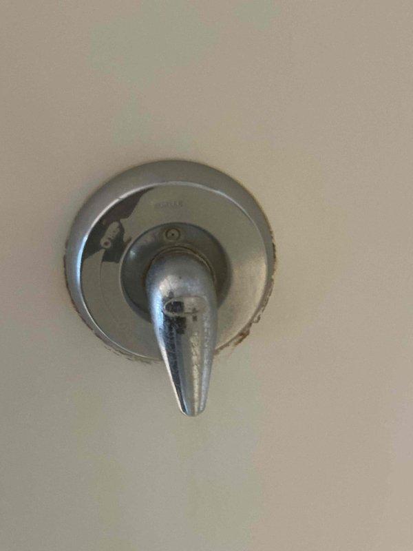 Replaced worn cartridge in shower faucet to address active leakage and water damage. Removed calcium deposits and mineral scaling from chrome handle and escutcheon plate. Tested water flow and verified complete resolution of the leak.
