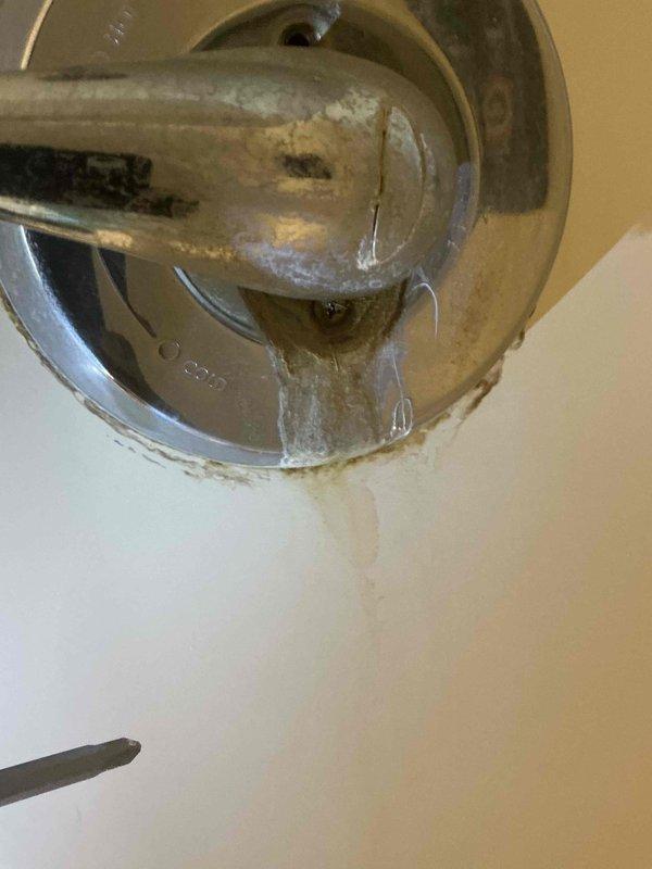 Replaced worn cartridge in shower faucet to address active leakage and water damage. Removed calcium deposits and mineral scaling from chrome handle and escutcheon plate. Tested water flow and verified complete resolution of the leak.