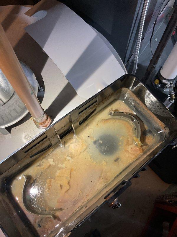 Performed annual heating system maintenance on EnergiAir furnace (2014 model) with attached humidifier. Inspection revealed significant mineral buildup and moisture accumulation in the drain pan. Cleaned condensate collection system, checked copper line connections, and restored proper drainage function to prevent potential water damage and ensure efficient system operation.