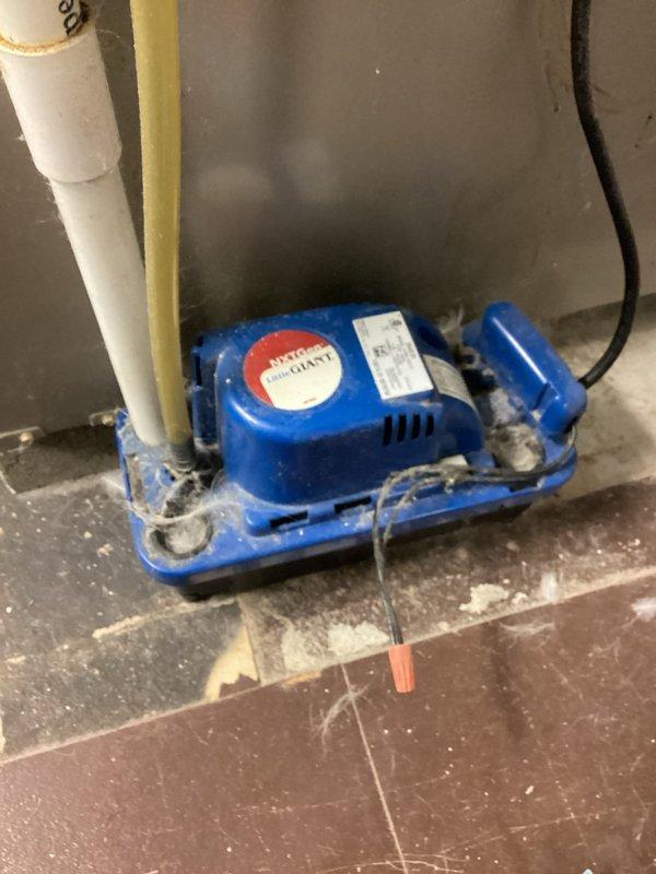 Diagnosed and replaced failing condensate pump that was causing noise during furnace operation. The original 13-year-old Bryant system's pump was generating washing machine-like sounds during the heating cycle. Installed new Little Giant condensate pump and verified proper operation with significantly reduced noise.