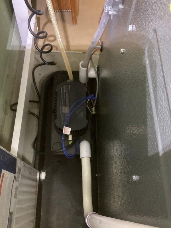 Completed annual heating tune-up service on EnergiAir WT 03-2034 furnace system (1-year-old unit). Inspected circulation pump and electrical connections; all components operating normally with no current issues identified. Documented system condition with photos of pump assembly and associated plumbing connections.