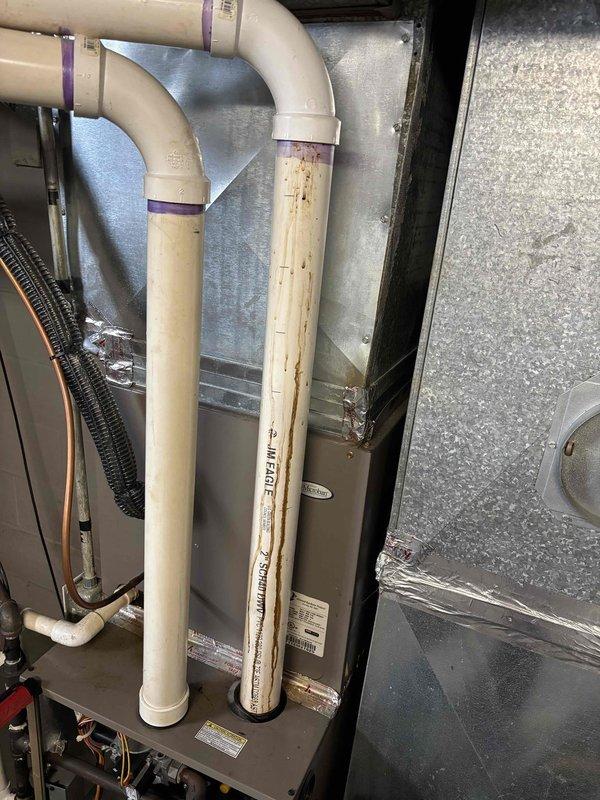 Responded to odor complaint in basement caused by a non-draining floor drain and warped furnace seal. Inspected 6-year-old HVAC system showing significant rust staining and condensation issues on PVC drain piping. Cleaned and restored proper drainage function, replaced damaged furnace seal to eliminate odor source.