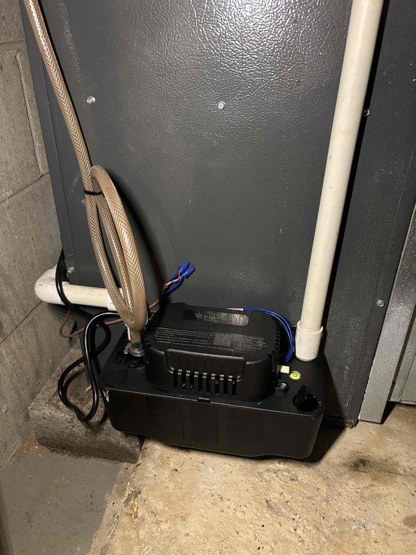 Completed furnace tune-up on 11-year-old ENE system as requested. Performed comprehensive inspection of components including condensation drain lines and electrical connections. Cleaned condenser unit which showed signs of normal condensation buildup, ensuring optimal system performance and efficiency.