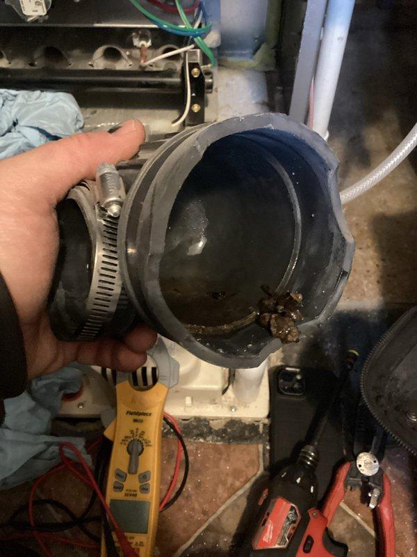 Performed annual maintenance on 13-year-old Payne furnace. Discovered sediment buildup in condensate drain line which was cleaned to prevent blockage. Inspected heat exchanger and burner assembly, finding normal wear consistent with age of unit. System functioning properly after service with no humidifier present.