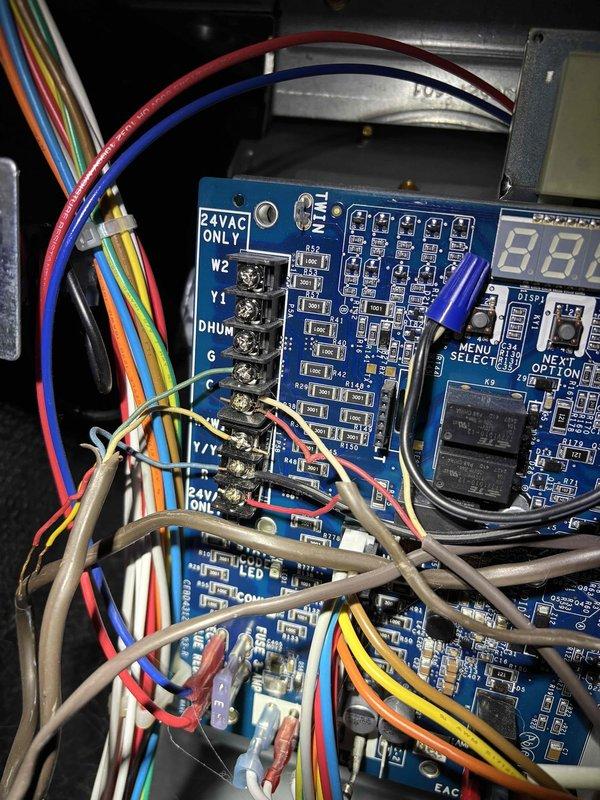 Completed annual heating maintenance on 1-year-old Carrier furnace (model WT 11-2029, manufactured 2021) with integrated humidifier. Inspected circuit board connections and verified proper operation of all components. System is functioning within manufacturer specifications with no issues detected.