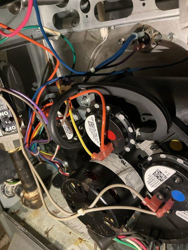 Completed annual heating maintenance on a 6-year-old furnace with humidifier as part of Energy Savings Club service. Inspected blower motor assembly and electrical connections, noting normal dust accumulation consistent with regular operation. All wiring connections were secure with no signs of damage or deterioration to components.