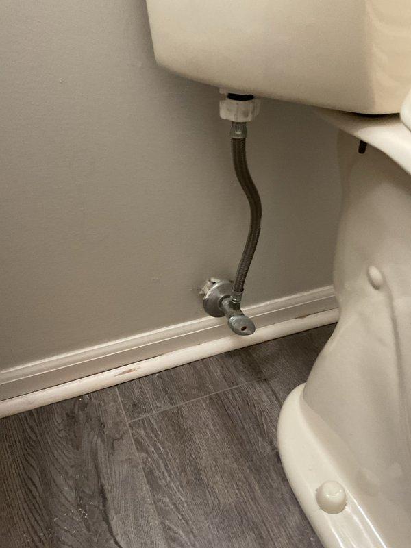 Completed toilet replacement in 50-year-old residence, addressing long-standing issues in specific area of the home. Installed new toilet with proper water supply connection and verified proper function of internal flush mechanism. Also repaired dripping faucet that had been problematic for several months.