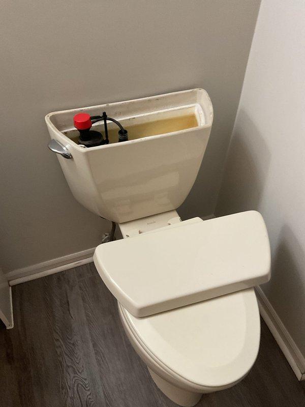 Completed toilet replacement in 50-year-old residence, addressing long-standing issues in specific area of the home. Installed new toilet with proper water supply connection and verified proper function of internal flush mechanism. Also repaired dripping faucet that had been problematic for several months.