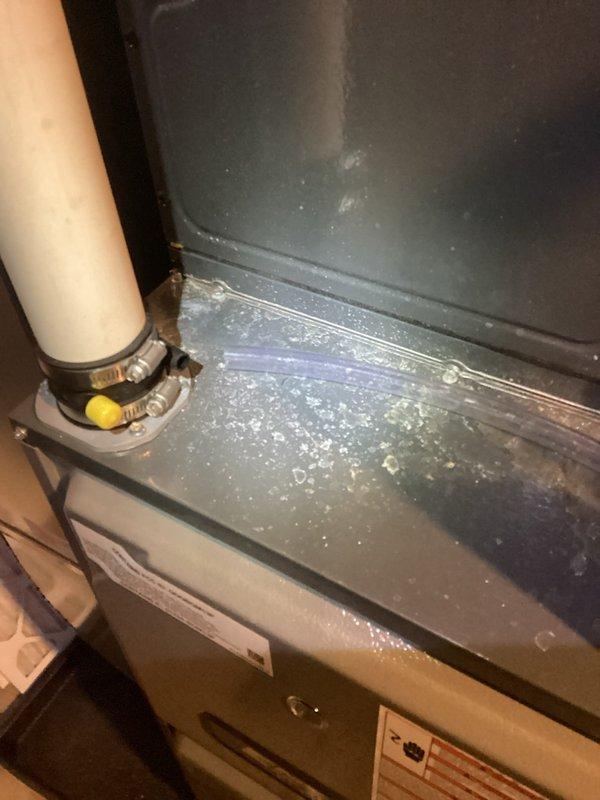 Completed annual heating tune-up on ENE model furnace with warranty through 2035. Inspected condensate drainage system and water heater, noting proper operation of the Defender Safety System. No humidifier present on system; photos taken to document current equipment condition.