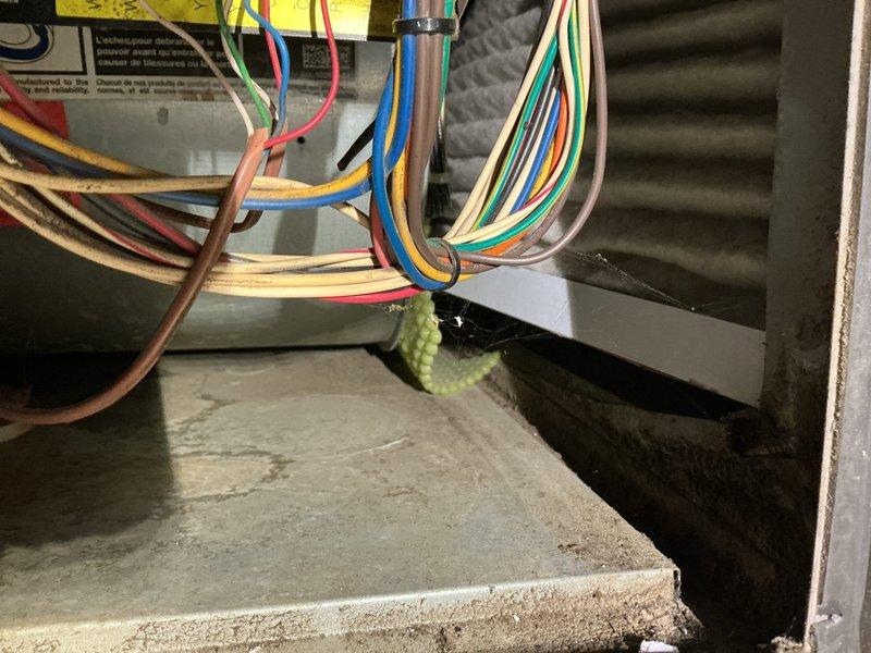 Performed annual maintenance on 12-year-old Lennox furnace. Inspected electrical connections and ECM drive board, ensuring proper operation. No humidifier present in home as noted by home warranty coverage. System functioning correctly after tune-up service.