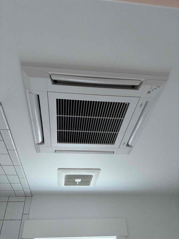 Investigated odor issue in garage apartment with mini-split system. Inspected ceiling-mounted HVAC cassette unit and identified musty smell emanating from condensate drain line. Cleaned drain line and applied antimicrobial treatment to prevent future bacterial growth causing odors. Recommended portable humidifier solution to address customer's concerns about cracking paint and dehydrating wood in the space.