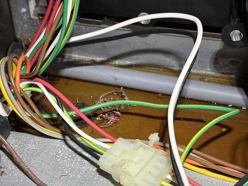 Performed annual heating tune-up on 9-year-old Carrier furnace with warranty valid until 02/2027. Inspected electrical connections and wiring harness, noting some wear on wire insulation. Examined blower assembly components and mounting bracket, with all fasteners secure and operational.