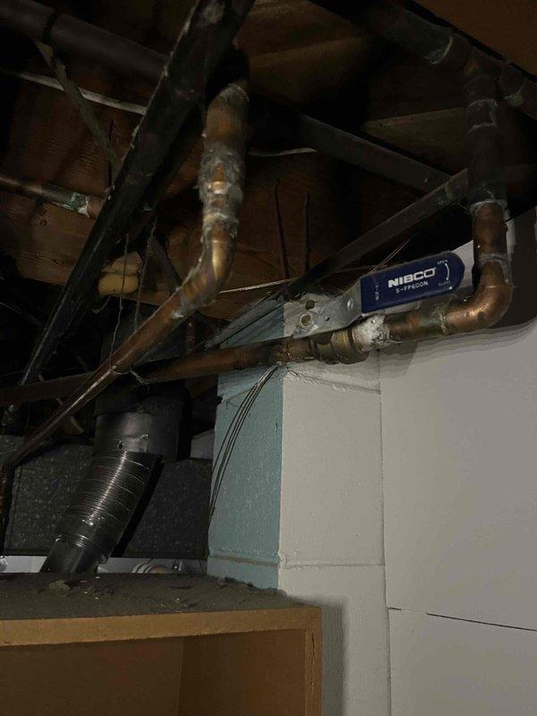 Responded to no hot water complaint for 20-year-old Bradford White water heater. Upon inspection, identified failed thermocouple as the cause of the pilot light failure. Replaced thermocouple, relit pilot, and verified proper heating operation before completion. Unit now functioning correctly.