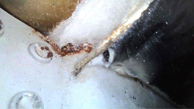 Performed complimentary tune-up on 7-year-old EcoAir furnace (2020 model). Identified rusting and corrosion at connection point indicating moisture issues, and noted exterior utility box showing weathering with green-yellow discoloration. System functioning but recommended monitoring the moisture-affected areas to prevent further deterioration.