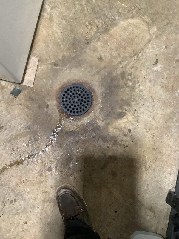 Cleared floor drain in basement laundry area that was showing signs of poor drainage and moisture accumulation around the drain cover. Also performed scheduled water heater maintenance including complete drain and flush service to remove sediment buildup and restore optimal performance.