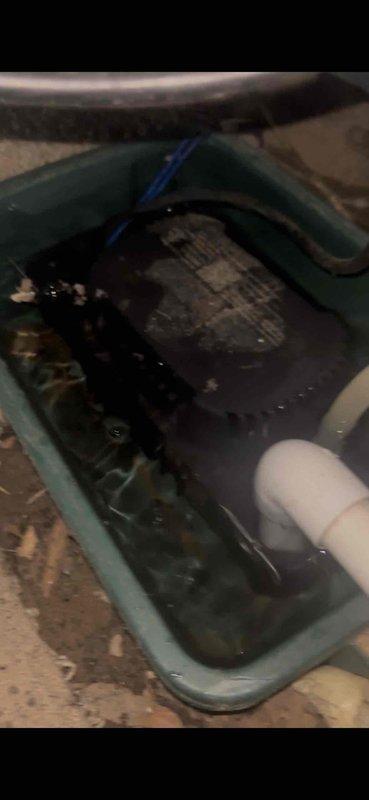 Completed annual heating service on EnergiAir system (WT 02-2034). Identified water accumulation in the condensate pan with visible debris and contamination. Performed standard furnace tune-up procedures and documented condition with photos for service records.