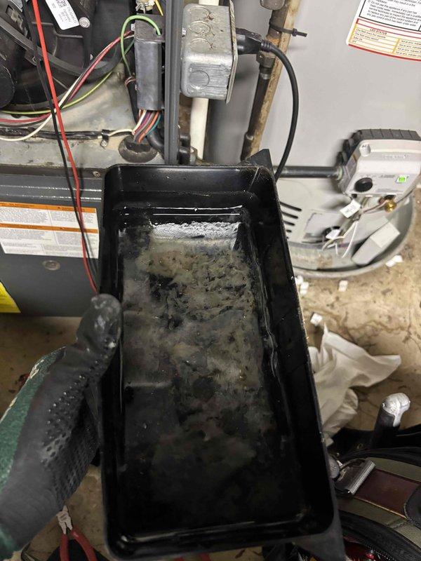 Performed annual heating maintenance on 14-year-old Goodman furnace. Cleaned condensate drain pan which showed significant mineral buildup and algae growth. Replaced drain pan tablets to prevent future biological growth and ensure proper drainage function.