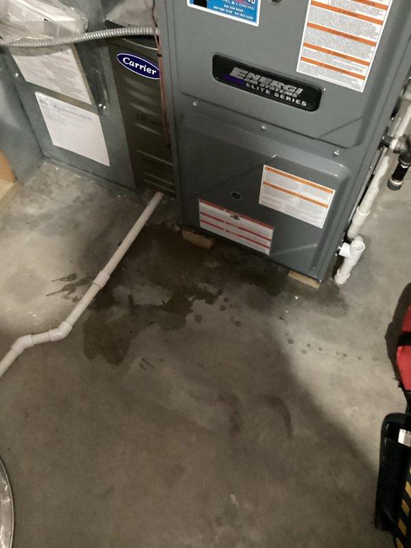 Responded to water leak between hot water heater and furnace drain on 7-year-old Carrier Energy series HVAC system. Inspected installation area showing water stains on concrete floor and identified leak point at connection between furnace condensate line and drainage system. Repaired damaged connection and verified proper drainage function to resolve the issue.
