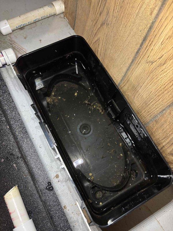 Performed complimentary annual tune-up on EnergiAir WT 07-2034 furnace (manufactured 2023). Discovered and cleaned debris-filled condensate pan with standing water. Inspected and removed component housing for thorough cleaning. System returned to proper working condition with all safety checks completed.
