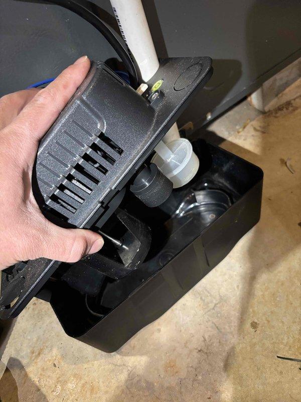 Performed comprehensive annual heating maintenance on 9-year-old Daiken furnace. Conducted visual inspection of components, verified proper condensate drainage system function, and documented system condition with photos. No humidity control system present. Furnace operating within normal parameters after tune-up.