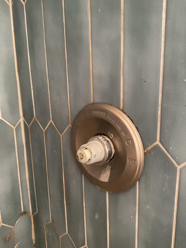 Inspected leaking gate valve above water heater and examined bathroom plumbing. Evaluated shower diverter valve showing signs of calcium buildup around cartridge stem. Observed shower/tub combination with minor water staining and assessed functional condition of fixtures.
