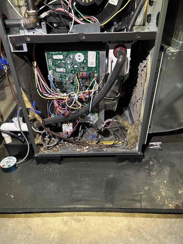 Responded to customer concern regarding possible rodent activity in EnergiAir WT 09-2035 furnace. Inspection revealed significant dust and debris accumulation in the lower section of the unit, not rodent damage. Additionally discovered severe frost buildup on refrigeration components, indicating potential defrost system malfunction. Cleaned accumulated debris and recommended system maintenance to prevent future issues.