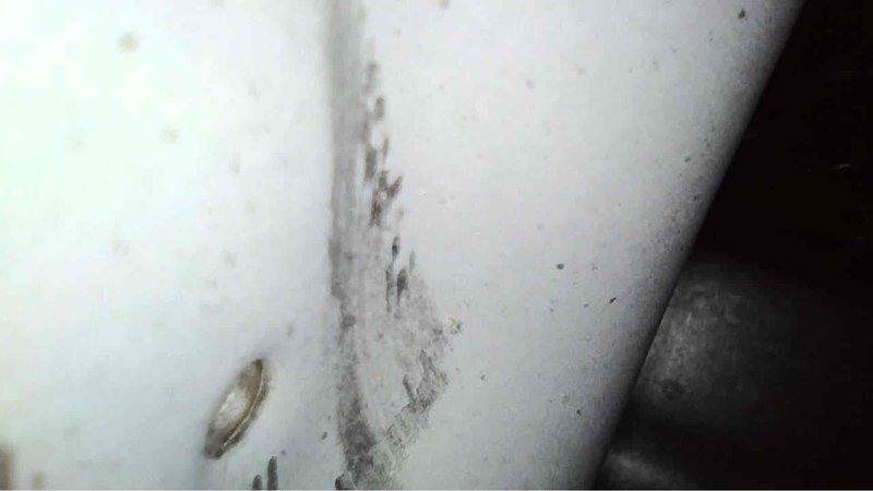 Completed annual heating service on a furnace and humidifier system that is approximately 18 years old. Inspection revealed significant mold/mildew growth and discoloration on humidifier components. Cleaned affected surfaces and documented condition with photos for future reference.