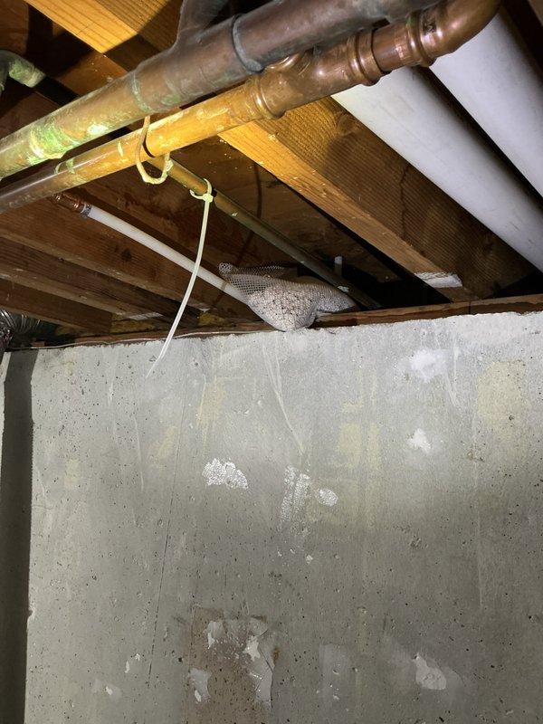 Inspected property regarding client-reported drain leak behind kitchen cabinets. Visual assessment revealed copper supply lines with significant oxidation and corrosion in basement/crawlspace area, along with drainage issues. Provided estimate for drain repair services and complete dishwasher installation including necessary plumbing connections as requested.