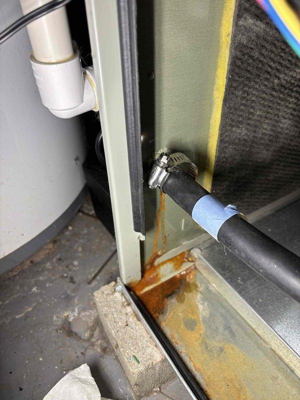 Performed annual heating maintenance on customer's furnace. Identified significant rust and corrosion at the base of the unit with evidence of an active water leak where the condensate line connects to the cabinet. Documented the deterioration with photos for customer records and recommended professional repair of the leaking connection to prevent further damage.