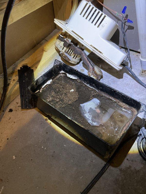 Performed annual heating tune-up on 16-year-old York furnace with attached humidifier. Identified significant buildup and debris in the condensate drain pan, with visible staining and corrosion at connection points. Cleaned drainage system components and verified proper operation of the condensate pump.
