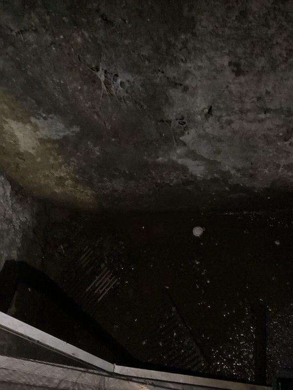 Responded to no heat call for 0-year-old Energy Waste furnace (model 01-2036). Inspection revealed significant water intrusion in the basement/crawlspace with standing water near the furnace area. Determined that moisture has damaged the furnace components, preventing proper operation. Recommended professional water remediation before furnace repair/replacement can be safely performed.