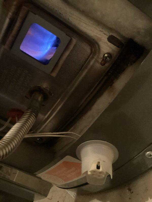Diagnosed water heater exhibiting no hot water production. Inspection revealed proper gas ignition with strong blue flame pattern visible through viewing window. Confirmed unit is operational with normal combustion; instructed customer on correct thermostat settings to restore hot water function.
