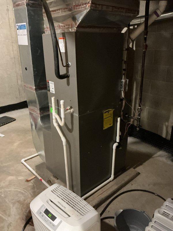 Diagnosed 10-year-old Rheem water heater reporting no hot water production. Inspection revealed failed heating element requiring replacement. Installed new element and tested system for proper operation, confirming restoration of hot water functionality.