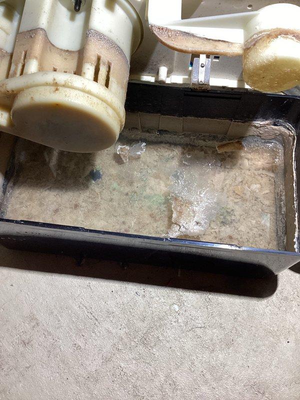 Diagnosed 16-year-old furnace humidifier with severe water leakage causing basement damage. Inspection revealed collection tray containing contaminated water with significant mineral deposits, algae growth, and mold formation. Humidifier components showed extensive discoloration and buildup, indicating prolonged moisture exposure and system deterioration.