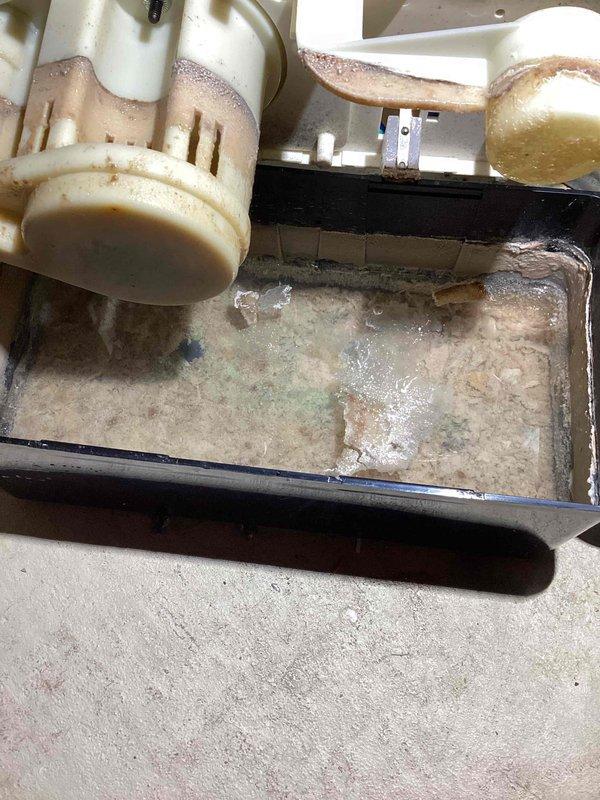 Diagnosed 16-year-old furnace humidifier with severe water leakage causing basement damage. Inspection revealed collection tray containing contaminated water with significant mineral deposits, algae growth, and mold formation. Humidifier components showed extensive discoloration and buildup, indicating prolonged moisture exposure and system deterioration.