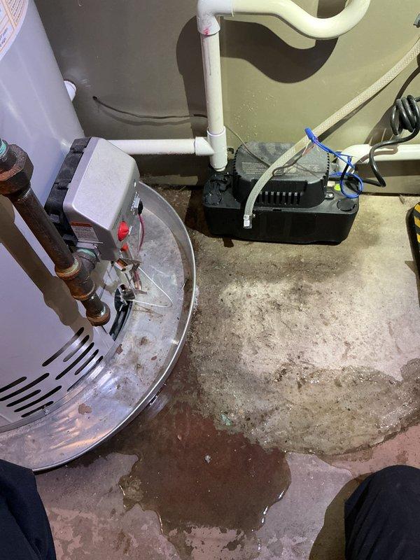 Responded to water leak issue involving water heater in basement. Identified leak originating from condensate pump system with pooling water beneath the pan. Installed new fitting/connector to resolve leak and inspected surrounding plumbing connections to ensure proper operation.