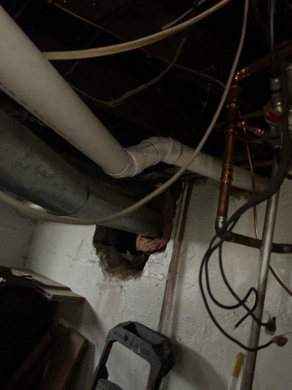 Successfully completed the basement drain repipe installation, replacing the existing drainage system with new PVC piping. Work included installing horizontal runs with proper elbow joints in the crawlspace beneath the floor, navigating around existing electrical wiring and insulation. The basement utility area repipe has been completed, with all connections properly secured and tested.