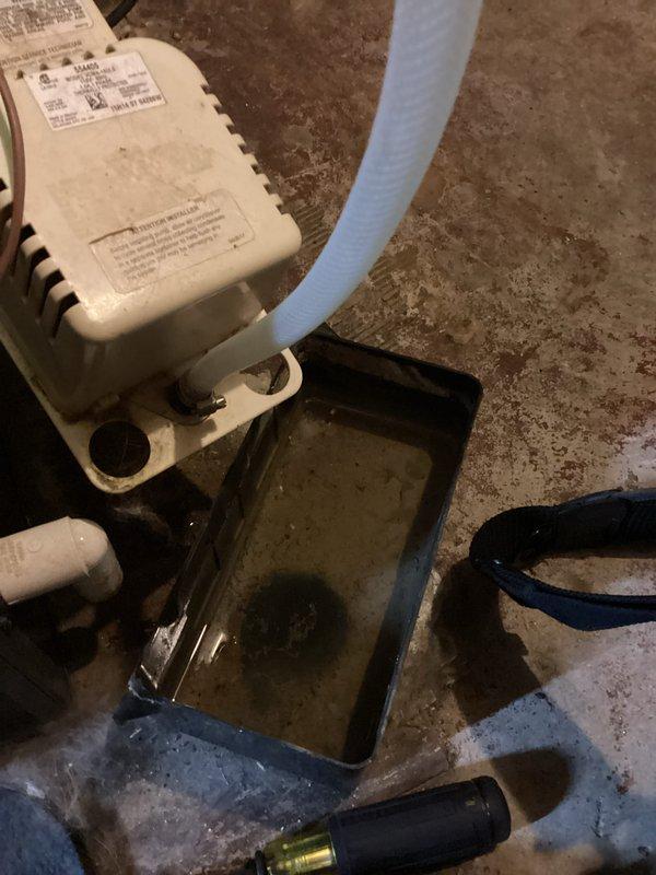 Performed complimentary furnace tune-up on 10-year-old EnergiAir system with humidifier. Inspected condensate pump, cleaned accumulated debris from ventilation system, and checked drainage collection tray. System is functioning properly following maintenance service.