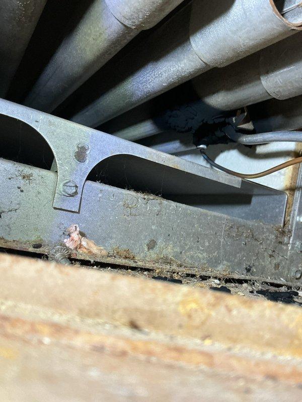 Performed annual heating service on 39-year-old Slant Fin boiler. Inspected burner tubes and gas supply components, noting some age-related discoloration and surface staining. System was tuned up and confirmed operational; no humidifier present on club installation.