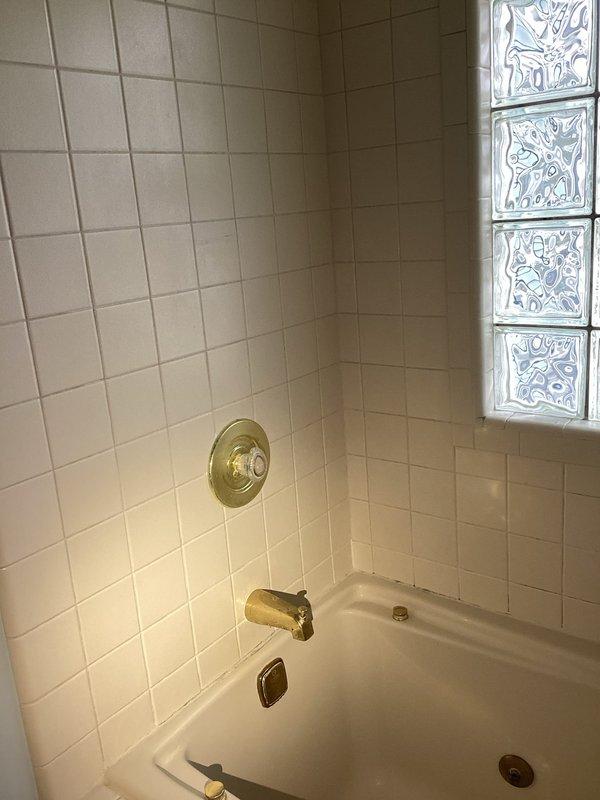 Diagnosed and repaired a leaking bathtub faucet in master bathroom, replacing worn cartridge and valve components to eliminate dripping. Also serviced kitchen sink faucet, cleaning aerator and tightening loose mounting hardware to restore proper function and water flow.