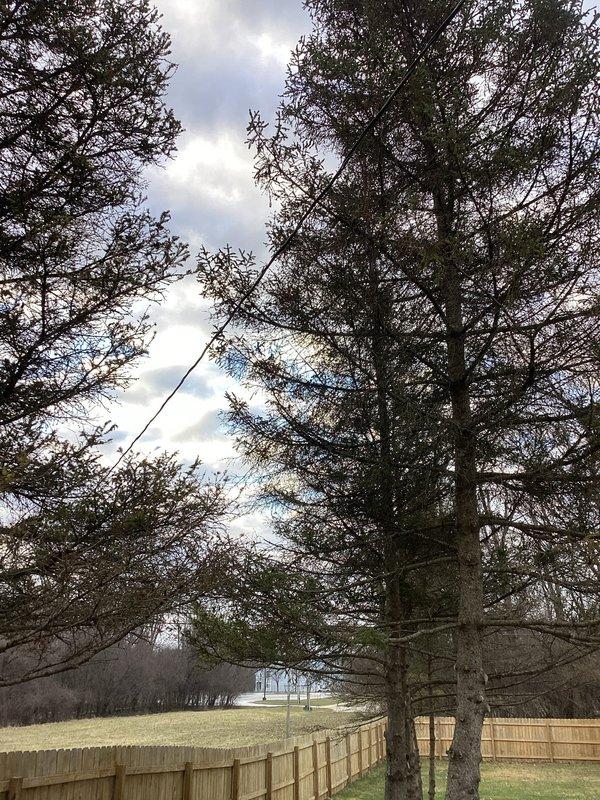 Successfully completed a panel replacement service, installing a new electrical breaker box with proper circuit organization and safety labeling. Additional work included replacement of several outlets to ensure code compliance and system functionality.