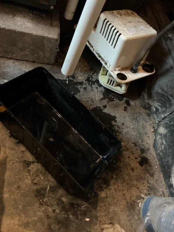 Performed annual furnace tune-up on 9-year-old Amana system. Inspected burner assembly which showed normal wear but proper operation. Noted condensate pump with visible dirt accumulation and standing water in the collection tray; cleaned components and verified proper drainage function to ensure optimal system performance.