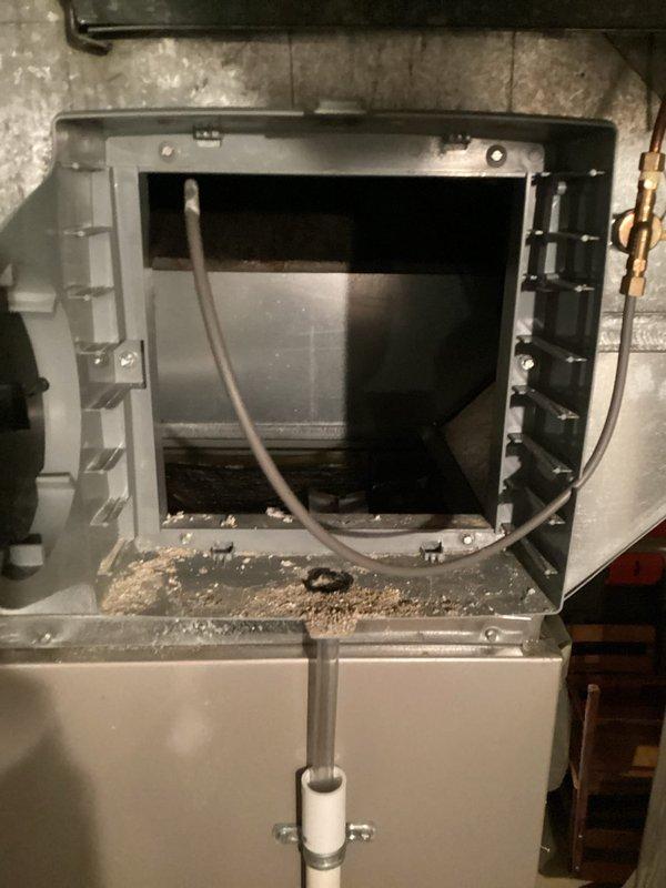 Performed complimentary annual furnace tune-up on EnergiAir WT 04-2035 unit (0 years old). Discovered severely clogged air filter which was replaced to restore proper airflow. Cleaned accumulated dust and debris from internal components to improve system efficiency and extend equipment life.